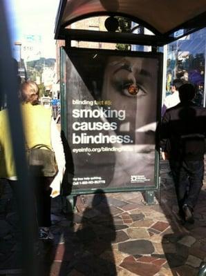 blindness fact #5: Smoking Causes Blindness. An awareness poster at the bus stop on Telegraph and Durant in Berkeley.