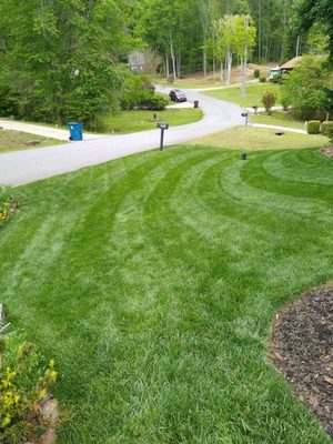 This was my yard before this company got a hold of it.  You can see the client's mailbox he was hired for.  This pic was from my driveway.