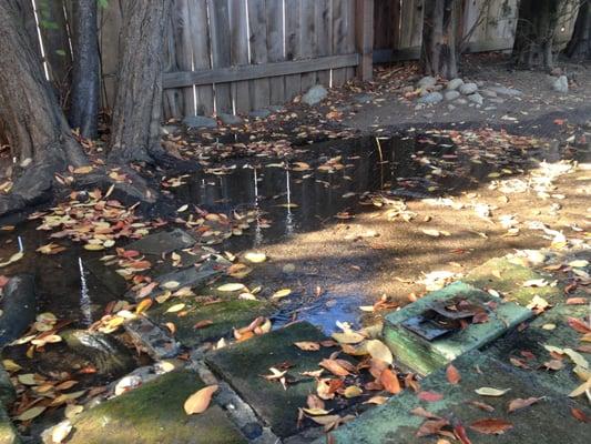 Gardener didn't shut off the water or leave it on a timer. Turned it on and left.