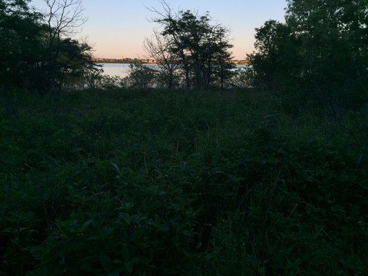 View of the lake near sunset from the hiking trail