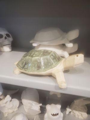 Cool turtle display