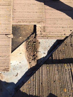 Normal problem on tile roofs valleys get full of debris