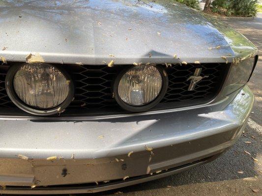 Turn on your headlights and enjoy not being able to see shit when the caterpillars hurdle on ur lights.