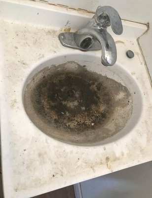 Nasty, clogged sink...