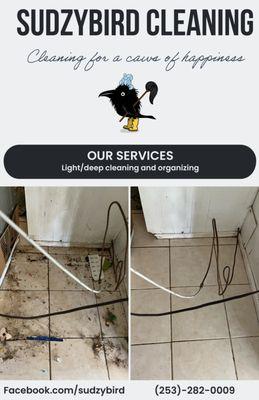 Sudzy Bird Cleaning Services