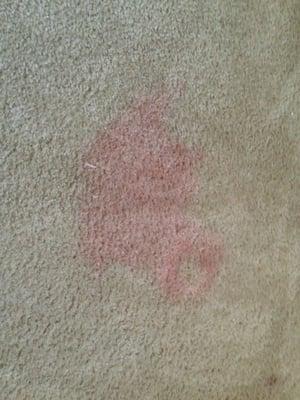 Red stain that am 2 pm was unable to get out after Pre stain treatment and carpet cleaning.