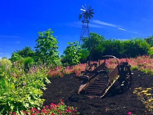 Beauty everywhere you look in Ohio's Amish Country