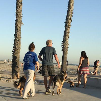 Rosie’s Dog Beach. The Blessing of the Animals.