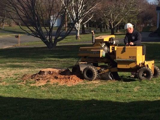 Super Stump Grinding.