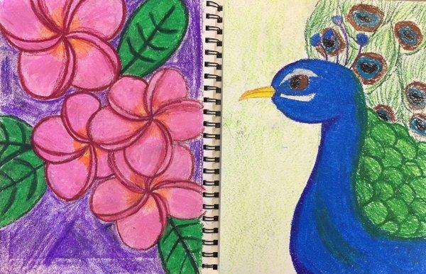 Focus area: oil pastels by Artist S. 6th grader