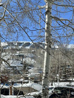 Aspen Vacations