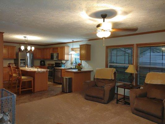 Clean den and kitchen.