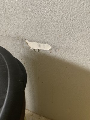 Hole in wall from rubbing trash can