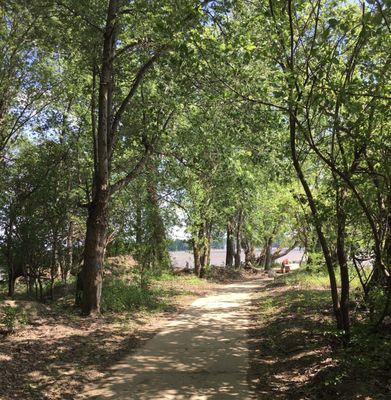 Walking path to the confluence point.