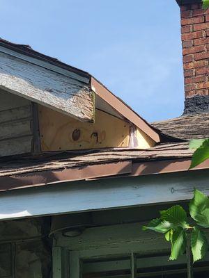 Repair of damage from raccoons