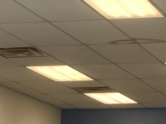 Moldy stained ceiling tiles