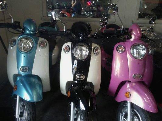 Affordable 50cc's