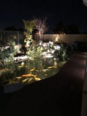 You can light up your pond and surrounding area. Just ask us for a quote.