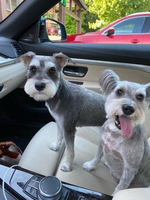 Piper and Lily with fresh haircuts