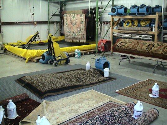 The best carpet care services around.