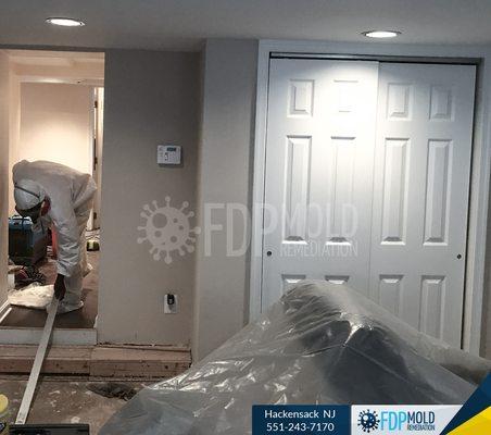 Mold remediation