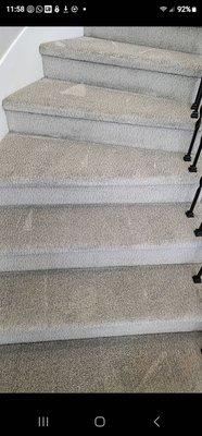 True Tone Carpet & Furniture Cleaners