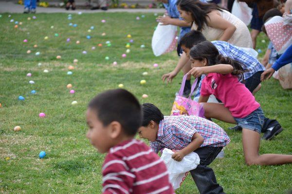 Easter Egg Hunt