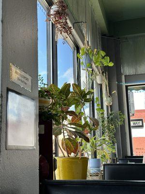 Seating area with gorgeous plants.