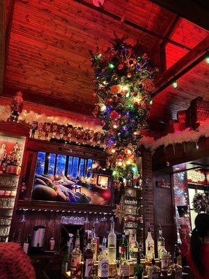 Upside Down decorated Christmas Tree hanging in the front bar