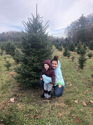 Bells Christmas Tree