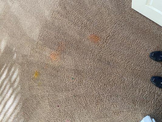 Carpet Stains