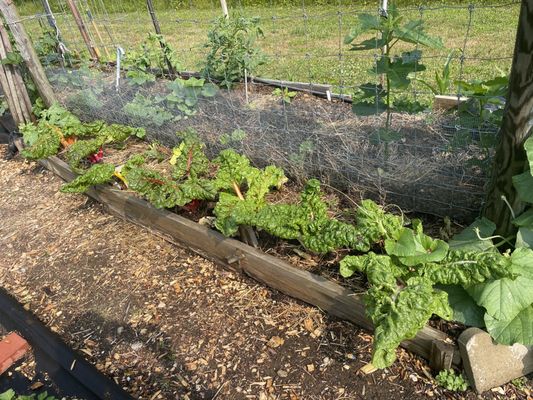 Topsoil from Pascarella Nursery