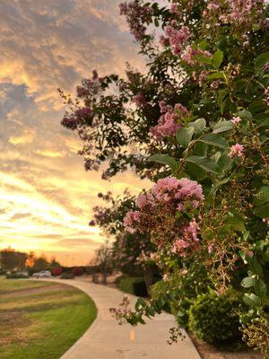 Sunset with the pink trees Sunsets on the horizon Hills everywhere Family everywhere, happy, safe Sports Welcoming environment