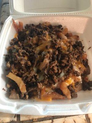 Undercooked soggy asada fries