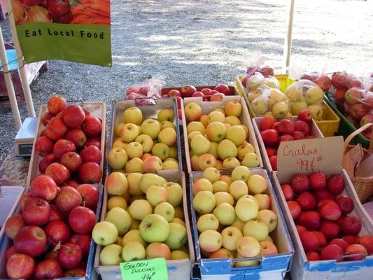 Miller Orchards