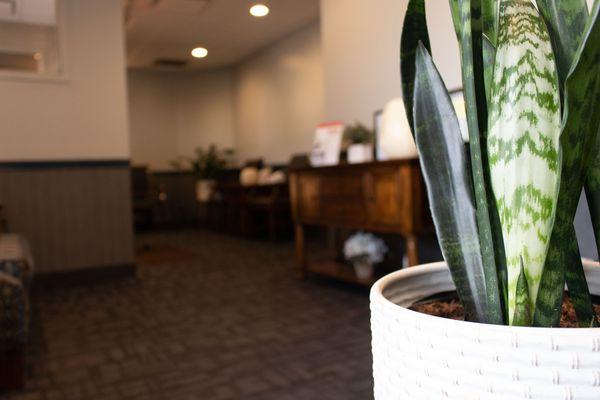 Our lobby and waiting room at Hale Family Dentistry