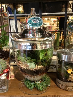 Terrariums By Rich