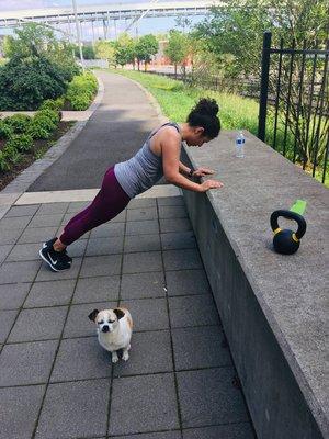 Working out in the park with my assistant, Lulu, looking on...