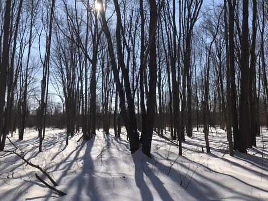 Snow day hike.