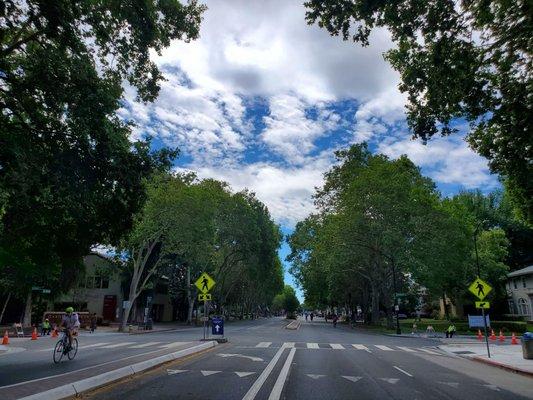 Gliding through the streets on The Alameda