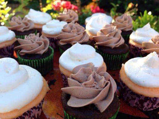 Mini vanilla and chocolate cupcakes for Halloween office party treats