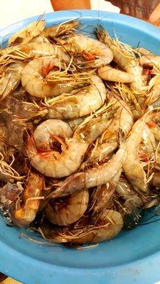 Got shrimp for sale. Price may vary