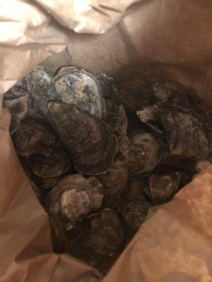 Split of Oysters for $18.50