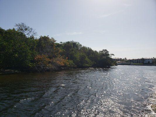 In the free boat taxi