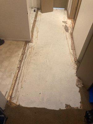 Removed and tore carpet because of flood. Due to washer.