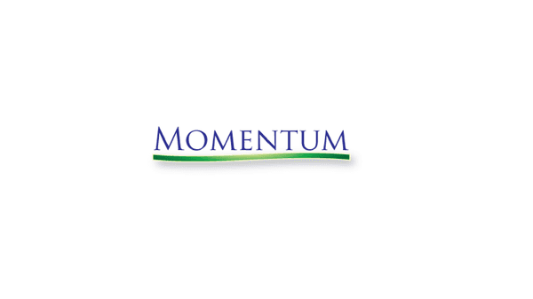 Momentum Appraisal Group