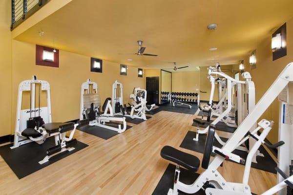 Reserve at West Paces 2 Story Fitness Center