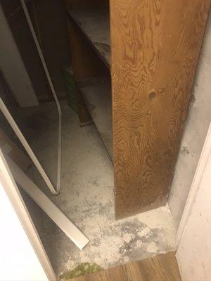 cement dust and debris left in a closet