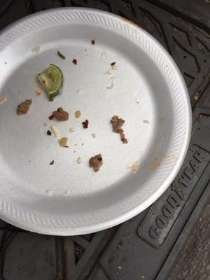 This is pieces of gristle from two tacos, ugh!