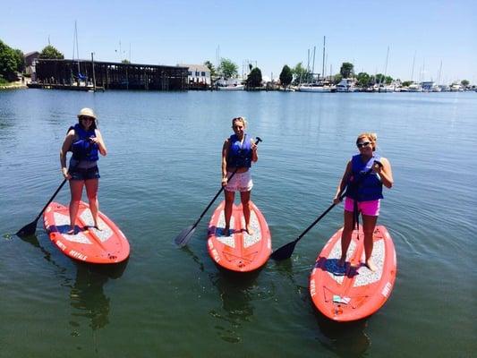 Paddle Board Rentals. SUP!